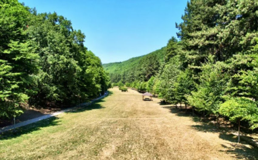 sot dita nderkombetare e ecjes ne natyre 68ef3b72668ad