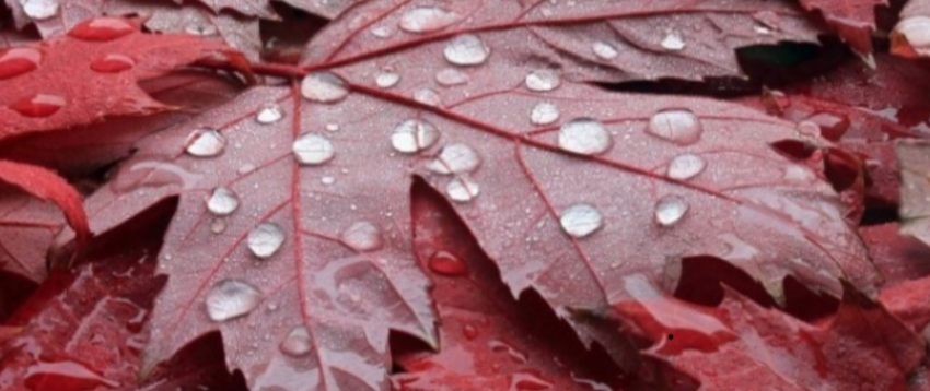 sot mban mot i vranet dhe me intervale me diell 69005ef240931