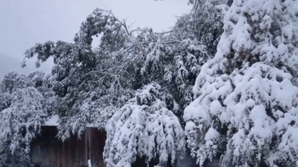 te bllokuar nga debora ne bjeshken e javorrit gjenden personat qe kerkuan ndihme 68e048566150e