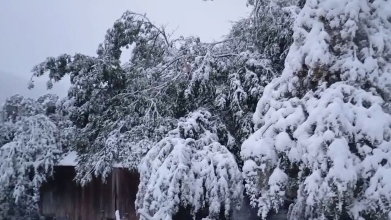 te bllokuar nga debora ne bjeshken e javorrit gjenden personat qe kerkuan ndihme 68e048566150e