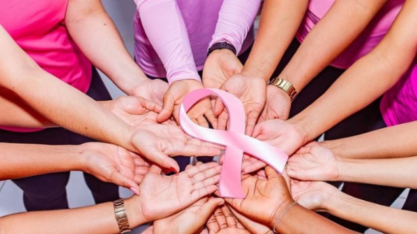 Toçi: Mamografi falas për kancerin e gjirit, 25 mijë gra depistohen çdo vit 2 toci mamografi falas per kancerin e gjirit 25 mije gra depistohen cdo vit 68ddbb37297ef