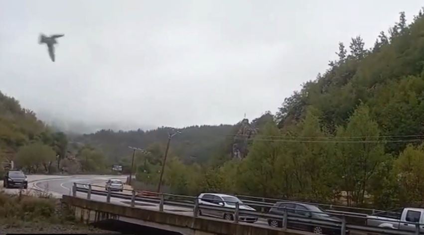 video debora kap ne befasi edhe dallendyshet ne shebenik momenti kur zogjte shtegtare fluturojne te corientuar 68de65071d378