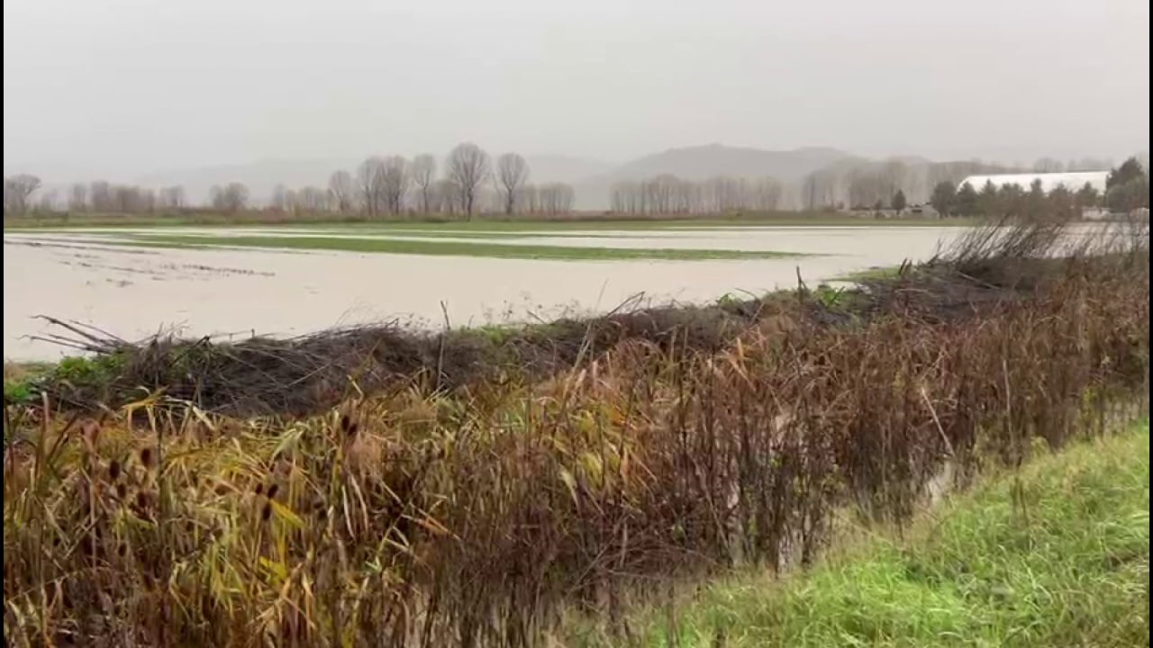 15 hektarë nën ujë, reshjet përmbysin sipërfaqe të mëdha bujqësore në qarkun e Korçës 1 15 hektare nen uje reshjet permbysin siperfaqe te medha bujqesore ne qarkun e korces 691e1d83dbd25
