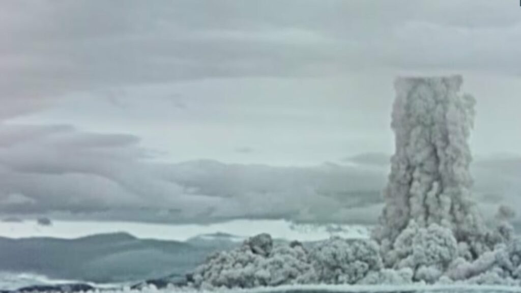 cfare nenkupton kercenimi i trumpit per testimet globale berthamore 690c5366b1890