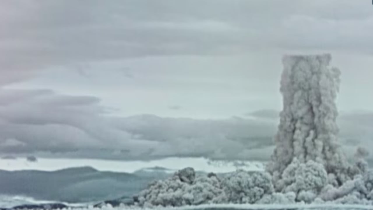 cfare nenkupton kercenimi i trumpit per testimet globale berthamore 690c5366b1890