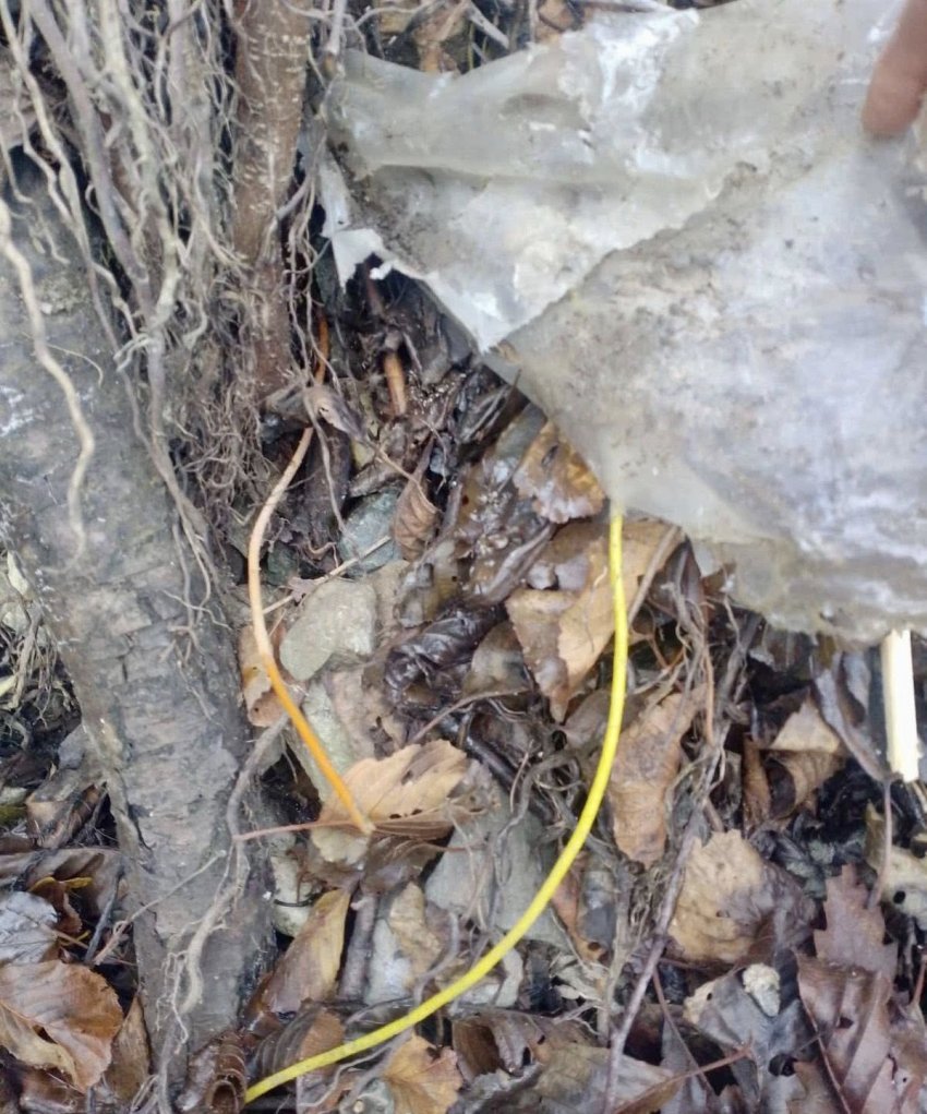 detonatoret ne leposaviq alarmon svecla serbia vazhdon te planifikoje sulme terroriste ne kosove 6919b7e55cea6