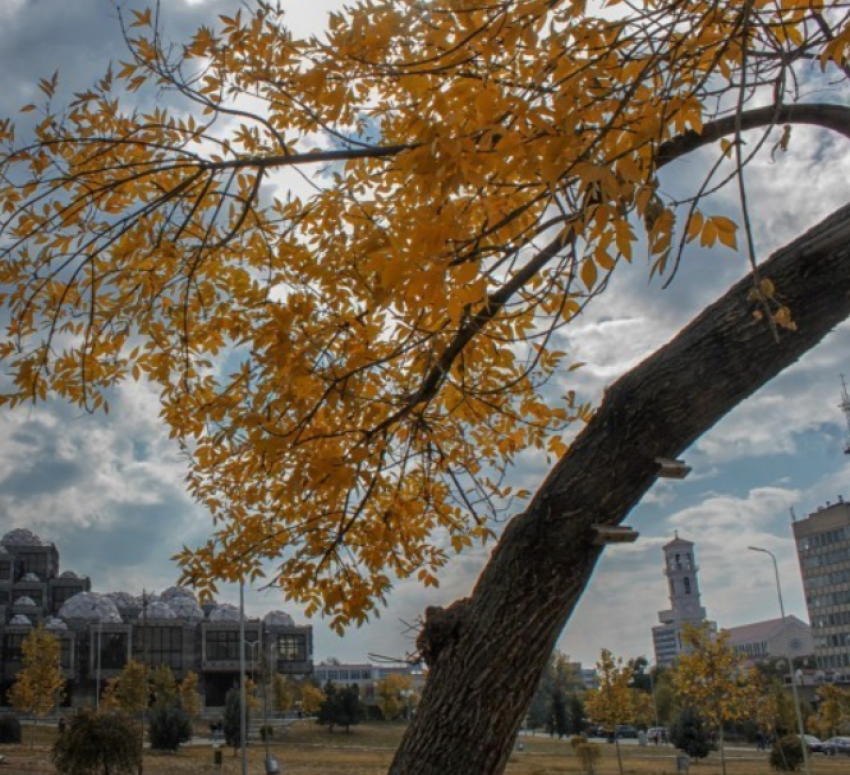 dite sot e vranet me riga shiu dhe diell te pjesshem 6909996fa5c67