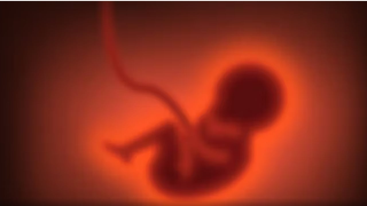 femije me porosi ne shba plasin polemikat per start up e gjenetikes 69133f45d64bb