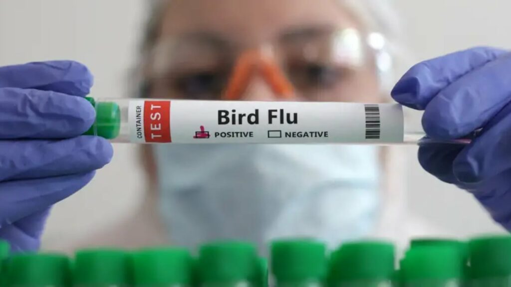 humb jete nje person nga gripi i shpendeve ne uashington rasti i pare i variantit te ri h5n5 692284a785e0e