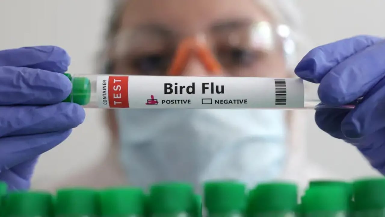 Humb jetë një person nga gripi i shpendëve në Uashington  rasti i parë i variantit të ri H5N5