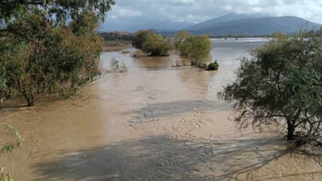 “Kjo situatë ka 40 vite që nuk ka ndodhur”/ Reshjet e dendura në Sarandë, mijëra hektarë akoma nën ujë 2 kjo situate ka 40 vite qe nuk ka ndodhur reshjet e dendura ne sarande mijera hektare akoma nen uje 69228287f08e1
