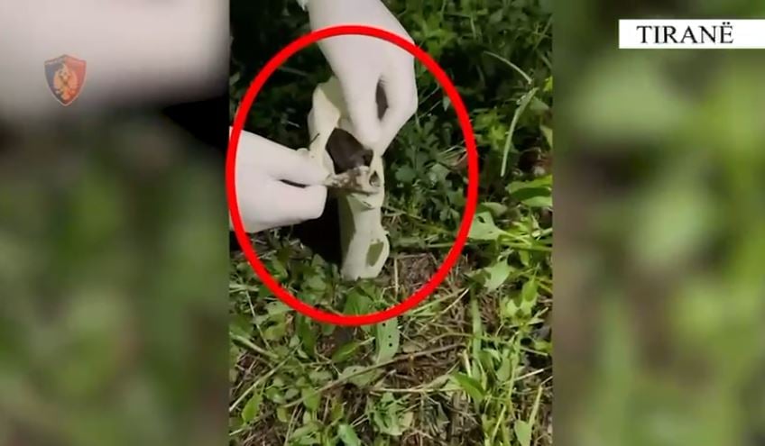 moren peng te riun dhe e dhunuan per 5 mije euro identifikohen 5 autoret arrestohen 2 prej tyre 691207c56edfd