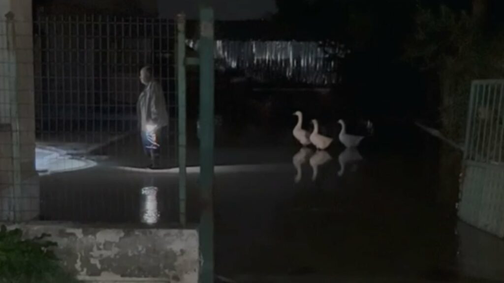 moti i keq perfshiu vendin rritet ndjeshem niveli i lumit vjosa rrezikohet dalja nga shtrati 691f6f05d97ab