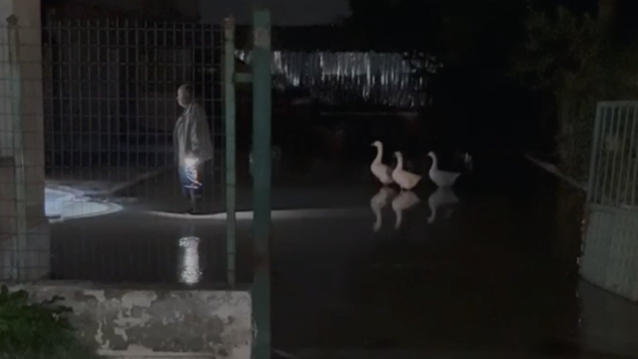 moti i keq perfshiu vendin rritet ndjeshem niveli i lumit vjosa rrezikohet dalja nga shtrati 691f6f05d97ab