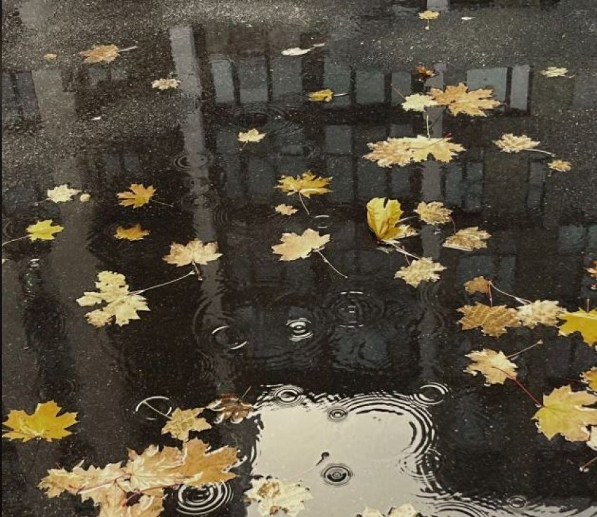 moti sot me shi 6921547215289