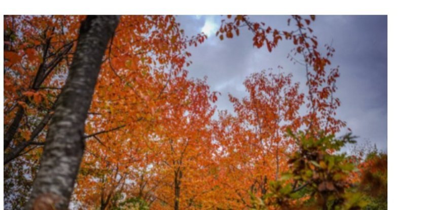 parashikimi i motit per vikend 69177130c71ca