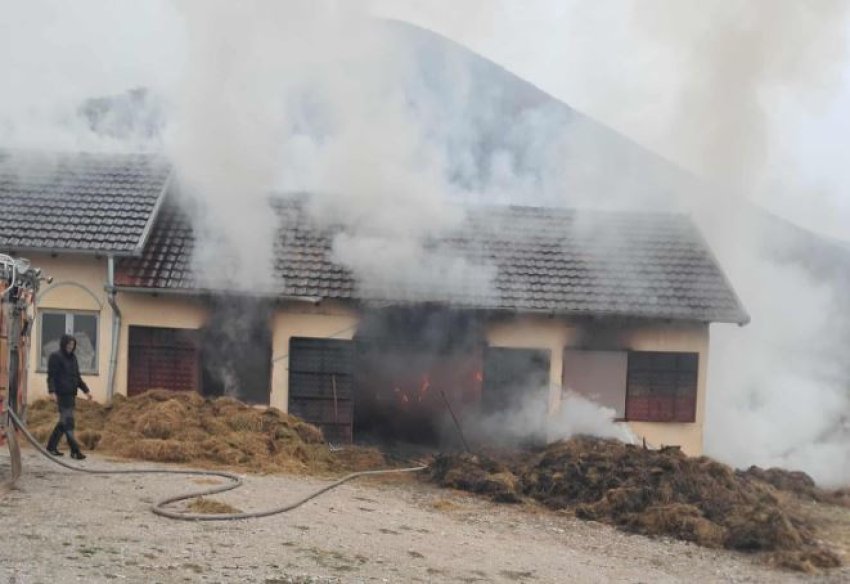 perfshihet nga flaket nje stalle ne shkoze te prizrenit ska te lenduar 691c9b11a8628