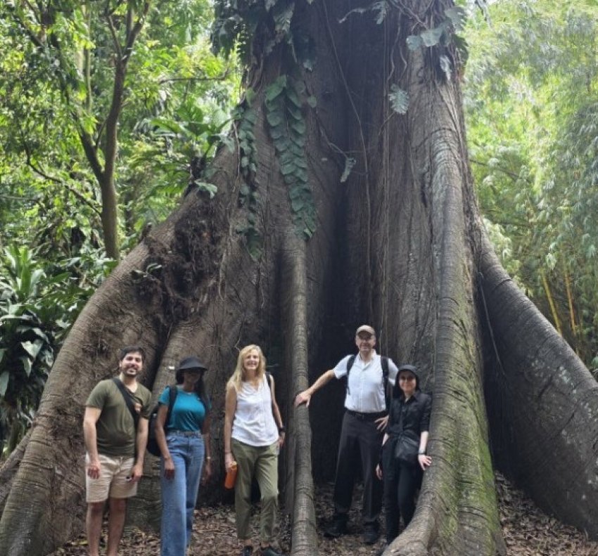 pyjet e afrikes shnderrohen ne nje burim neto karboni zbulon studimi 6929fb73d71f2