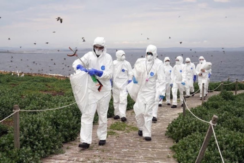 rasti i pare te njeriu me gripin e shpendeve h5n5 perfundon me vdekje 6921f654bb7c0