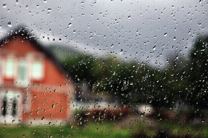 Reshjet e shiut përmbysin ekonomi familjare e kultura bujqësore   ende nuk dihet vlera e dëmeve