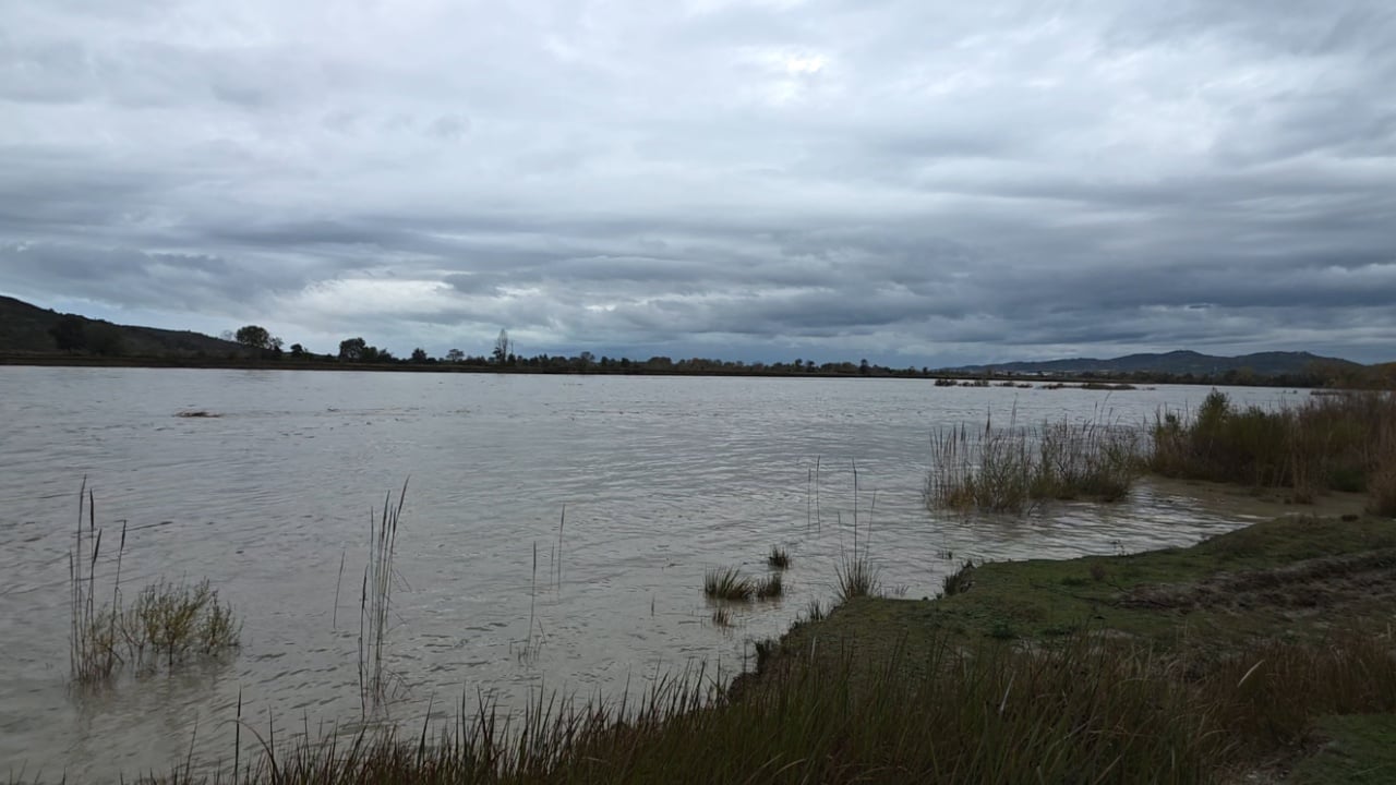 Rrezikohen të përmbyten tokat bujqësore në Fier, flasin banorët: Jemi të frikësuar, do na duheshin dy vite… 1 rrezikohen te permbyten tokat bujqesore ne fier flasin banoret jemi te frikesuar do na duheshin dy vite 691dc9233a9d6
