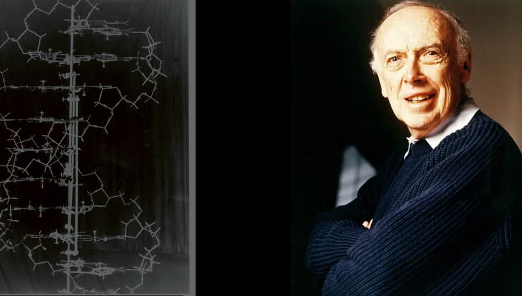 Vdes në moshën 97-vjeçare James Watson, shkencëtari që zbuloi ADN dhe deshifroi kodin e jetës 1 vdes ne moshen 97 vjecare james watson shkencetari qe zbuloi adn dhe deshifroi kodin e jetes 690e69c630f87