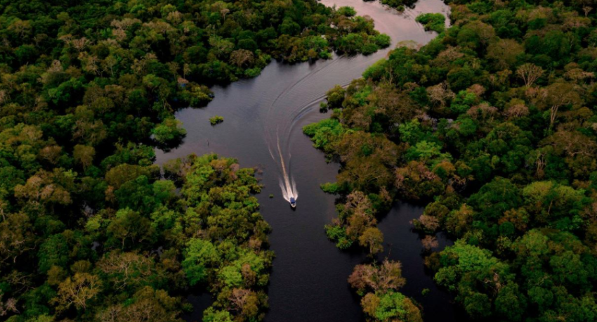 zyra e okb bota po humbet 10 milione hektare pyje tropikale cdo vit 691ce8955793c