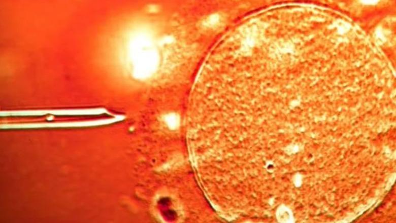 BBC: Në Shqipëri dhe 13 shtete të tjera u përdor sperma nga një dhurues me… 1 bbc ne shqiperi dhe 13 shtete te tjera u perdor sperma nga nje dhurues me 693999f5c5c54