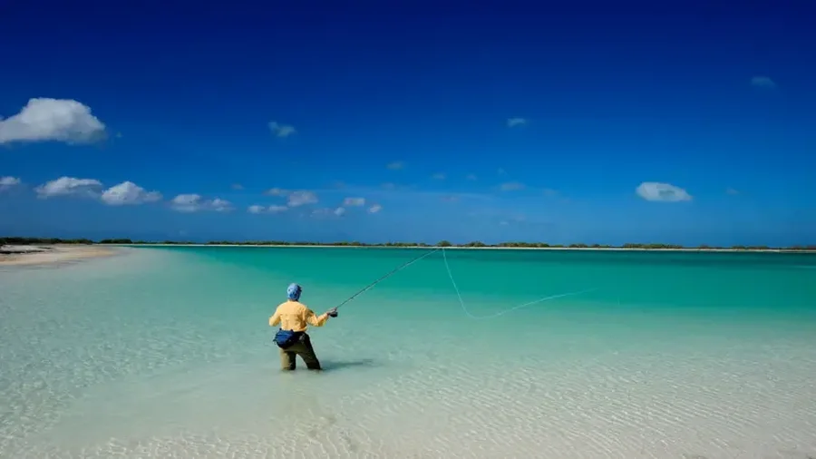 Mbërrin 2026! Festohet Viti i Ri në ishullin e vogël në Paqësor 3 mberrin 2026 festohet viti i ri ne ishullin e vogel ne paqesor 69552e87b38e1