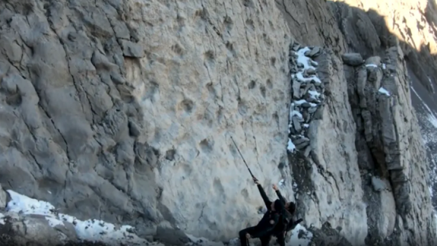 Mijëra gjurmë dinosaurësh 210 milionë vjeçare u zbuluan në një mal në Itali 1 mijera gjurme dinosauresh 210 milione vjecare u zbuluan ne nje mal ne itali 6941ee7309a64