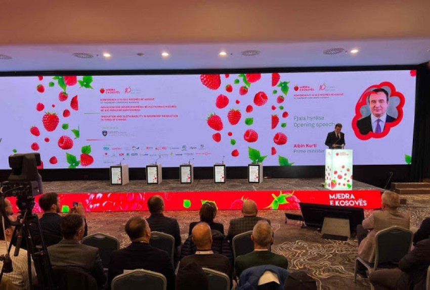 mjedra e kosoves a eshte histori suksesi ne rritje 6930294fa7362