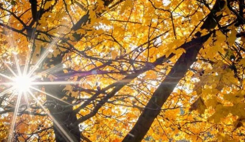 Moti i vranët dhe me intervale me diell 2 moti i vranet dhe me intervale me diell 6937bdf2335ef