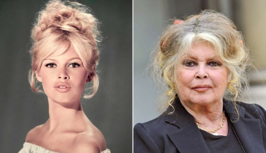nderron jete legjendarja brigitte bardot ne moshen 91 vjecare 695103d497007