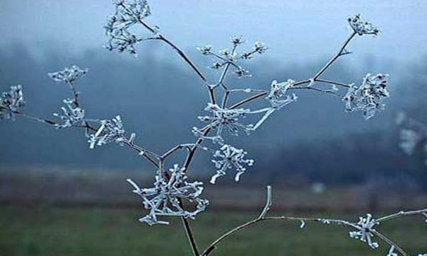 neser temperaturat 8 grade celsius 6952fd146ab81