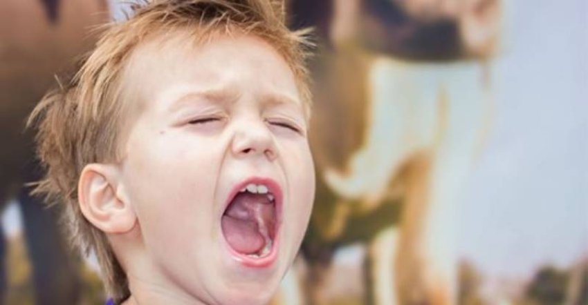 nje femije qe tregon mungese respekti ndaj prinderve te tij nuk do te respektoje askend 694fce7233442