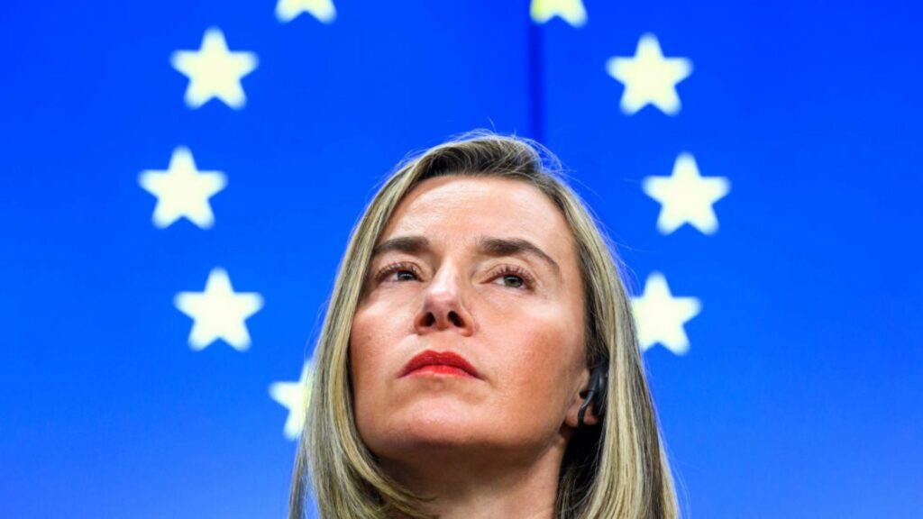 pa master dhe pa pervoje akademike ne krye te kolegjit te europes euractiv nga kulla e fildishte ne paraburgim shthurja dramatike e mogherinit 69302429936c3