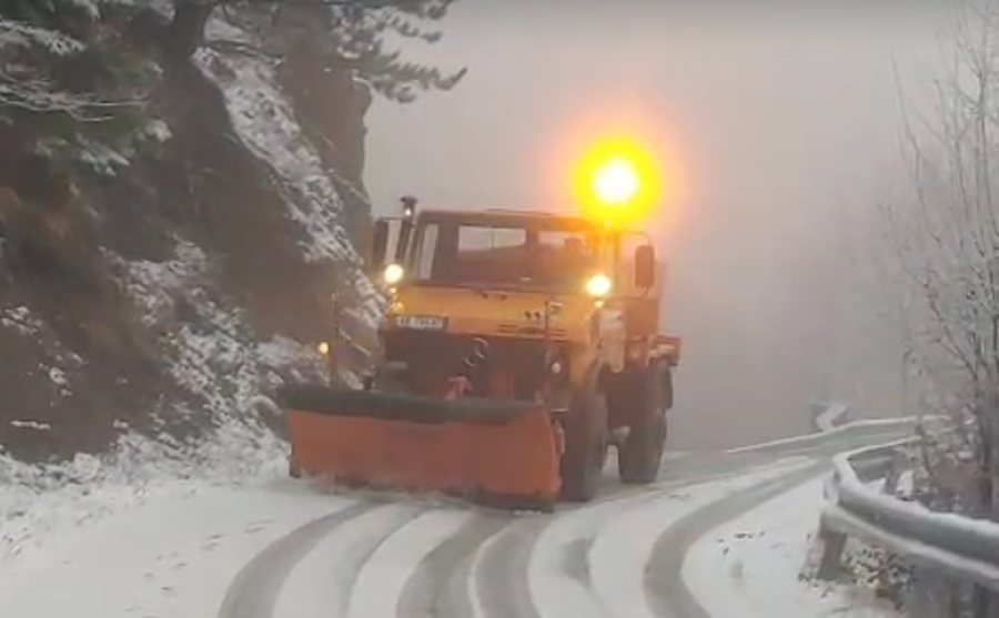 rikthen reshjet e debores ne dardhe 694e5d93b05b0