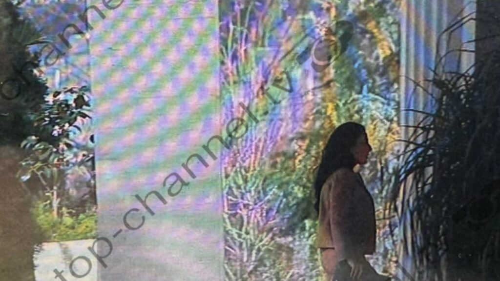 spak kerkon arrestimin e ballukut zv kryeministrja nuk do te marre pjese ne mbledhjen e keshillit te mandateve 69451de39e511