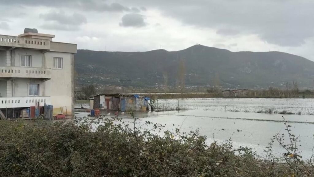 tokat e permbytura nje jave nen uje fermeret ne lezhe deme kolosale nuk mund ti mbjellim 692d7f03e3fed