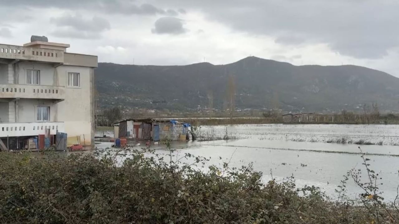 tokat e permbytura nje jave nen uje fermeret ne lezhe deme kolosale nuk mund ti mbjellim 692d7f03e3fed