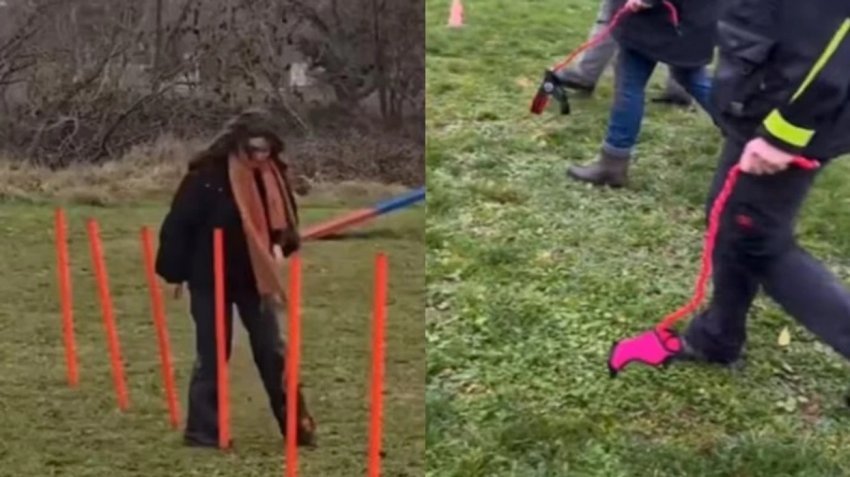 trendi qe po habit gjermanine njerezit nxjerrin ne shetitje qen imagjinare 69458ed3dc0af