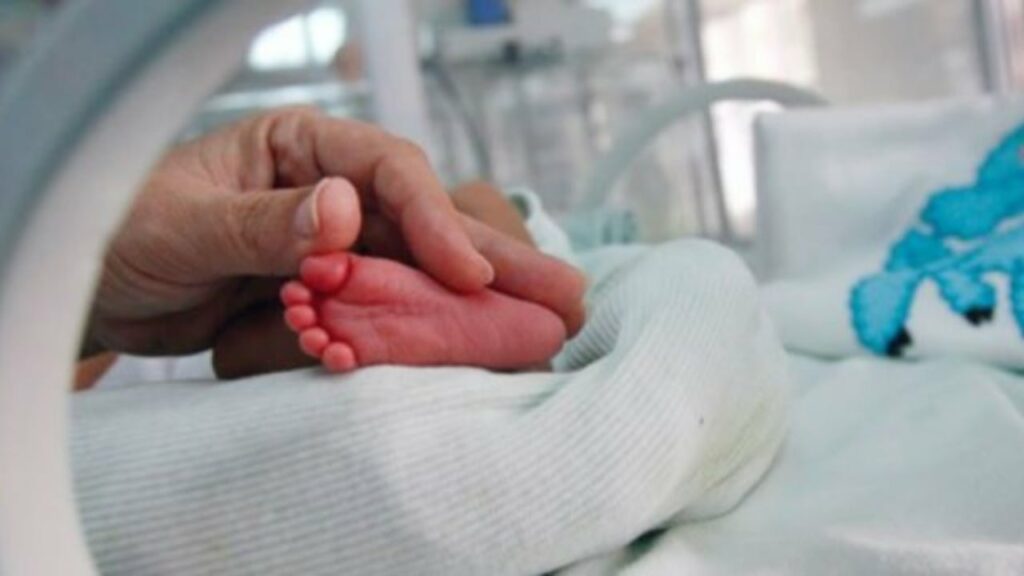 vijon skandali 18 femije ne greqi nga sperma e dhuruesit danez njeri vdiq para pak kohesh me kancer kurohet edhe i vellai 693c8e63a8693