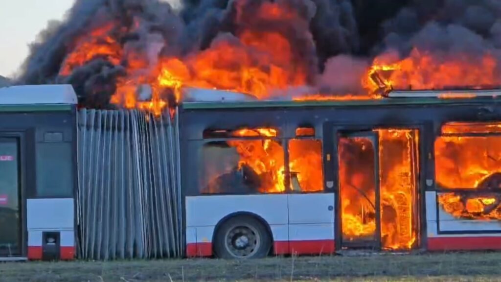 zjarri masiv ne fllake te durresit policia njoftim zyrtar u perfsine nga flaket disa autobuse te vjeter 694fe223ee315