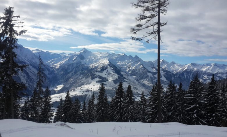 -15°C, temperatura më e ulët mëngjesin e sotëm në Maqedoni! Viti i Ri nis me mot të kthjellët dhe temperatura nën zero 2 15c temperatura me e ulet mengjesin e sotem ne maqedoni viti i ri nis me mot te kthjellet dhe temperatura nen zero 69564f3a8c018