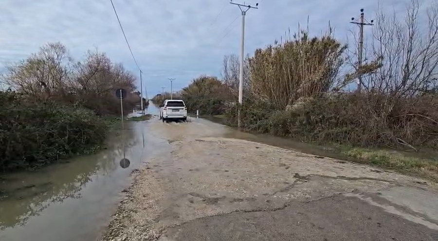 barinjte nuk pranojne te evakuohen duan te qendrojne me lopet ne zonen e permbytur 696650d37f454