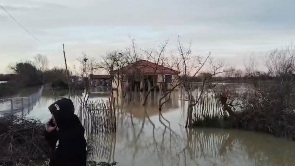 cahet argjinatura e semanit permbyten tokat bujqesore ne disa fshatra te fierit 6965f762b76c4