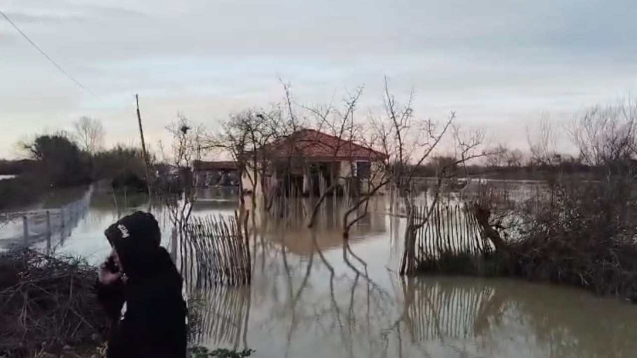 cahet argjinatura e semanit permbyten tokat bujqesore ne disa fshatra te fierit 6965f762b76c4