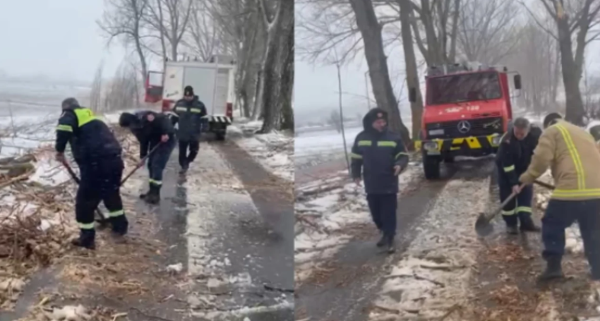 ere dhe debore ne kolonje rrezohen deget e pemeve ne aksin erseke rehove veshtiresohet qarkullimi 6970d6964c612