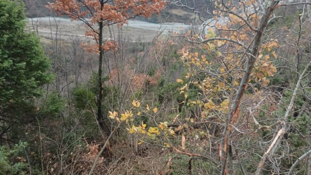 kamioni bie ne humnere ne gramsh humb jeten infermierja shoferi dhe mesuesja ne gjendje te rende 69778b45895e9