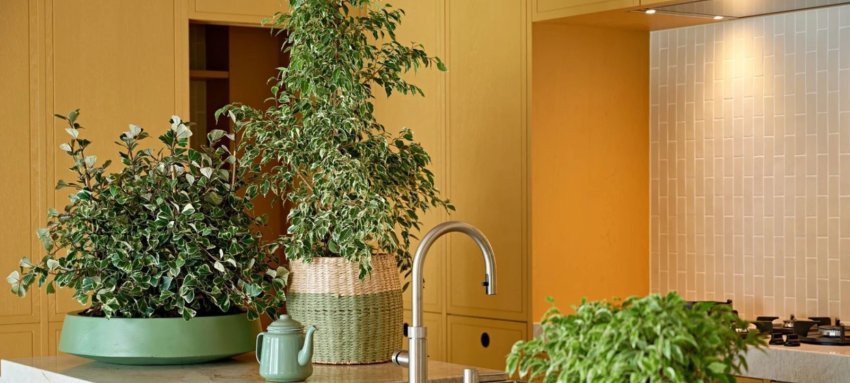 kjo eshte bima e vitit 2026 ndihmon ne permiresimin e cilesise se ajrit dhe tani te gjithe e duan ne dhomat e ndenjes 69653ad25098f